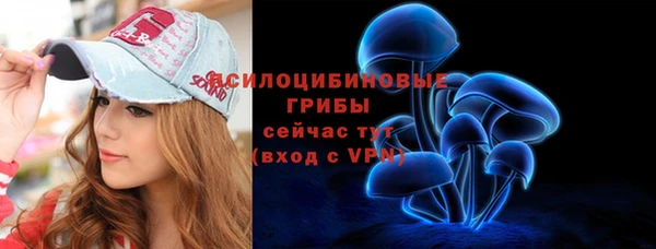 первитин Ельня