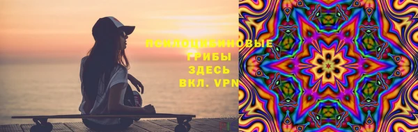 первитин Ельня