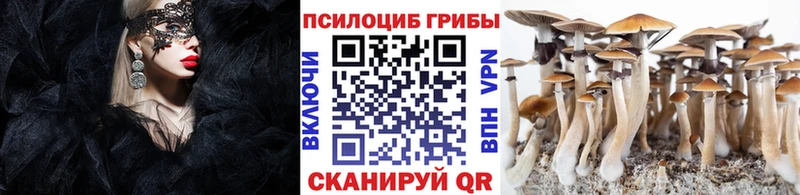 купить сайты Красногорск Галлюциногенные грибы мицелий
